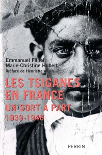 Les Tsiganes en France