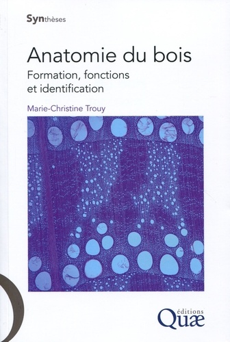 Anatomie du bois. Formation, fonctions et identification