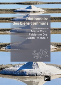 Dictionnaire des biens communs.pdf