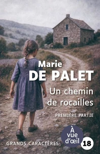 Un chemin de rocailles
