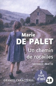 Un chemin de rocailles