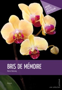 Marie Deluneq - Bris de mémoire.
