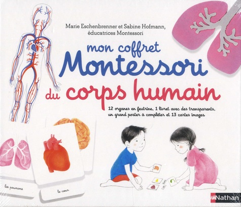 Mon coffret Montessori du corps humain. Avec 12 organes en feutrine, 1 livret avec 4 transparents, 13 cartes et 1 poster à compléter