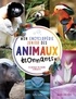 Marie-Eve Côté - Mon encyclopédie junior des animaux étonnants - 73 animaux du monde à découvrir.