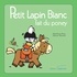 Marie-France Floury et Fabienne Boisnard - Petit Lapin Blanc  : Petit Lapin Blanc fait du poney.