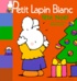 Marie-France Floury et Fabienne Boisnard - Petit Lapin Blanc  : Petit lapin blanc fête Noël.