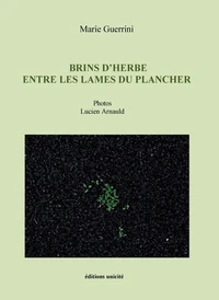 Brins d’herbe entre les lames du plancher