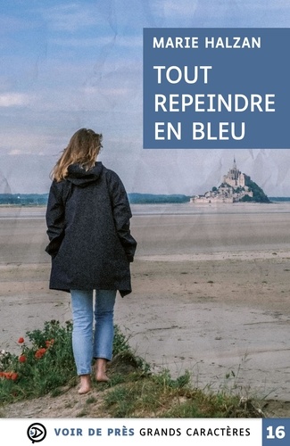 Tout repeindre en bleu : roman