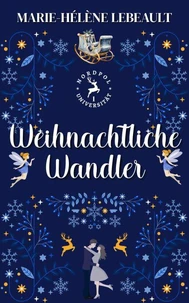 Weihnachtliche Wandler