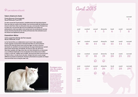 Almanach pour les amoureux des chats 2015