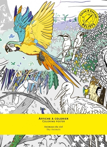 Marie M et Adrienne Bornstein - Affiche à colorier Animaux du ciel.