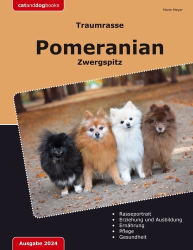 Traumrasse Pomeranian. Zwergspitz