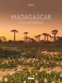 Marie Paturel et Lionel Montico - Madagascar - L'île mosaïque.