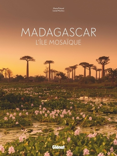 Madagascar. L'île mosaïque