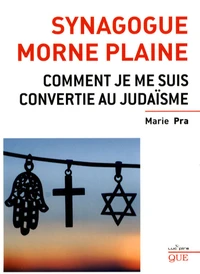 Synagogue morne plaine