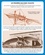 L'imagerie des avions