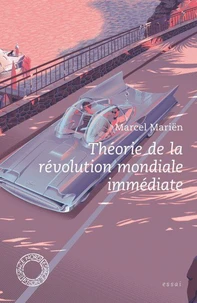 Théorie de la révolution mondiale immédiate
