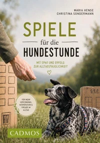 Spiele für die Hundestunde