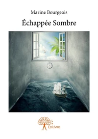 Echappée sombre