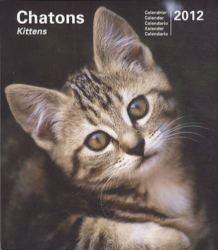 Marine Gille - Chatons - Calendrier 2012.