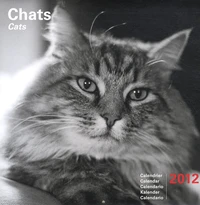 Chats Calendrier 2012