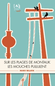 Sur les plages de Montauk les mouches pullulent