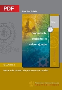 Mario Godard - Mesure de réseaux de processus en continu (Chapitre PDF) - Chapitre 5 Productivité, efficience et valeur ajoutée.
