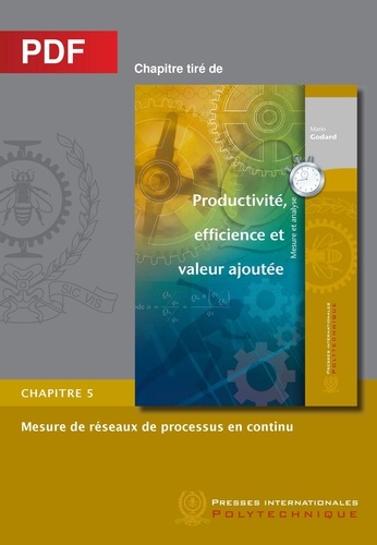 Mario Godard - Mesure de réseaux de processus en continu (Chapitre PDF) - Chapitre 5 Productivité, efficience et valeur ajoutée.