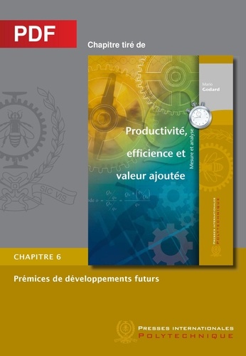 Mario Godard - Prémices de développements futurs (Chapitre PDF) - Chapitre 6 Productivité, efficience et valeur ajoutée.