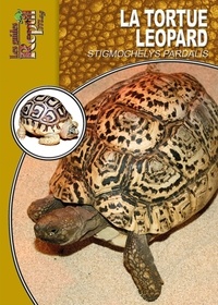 Mario Herz - La tortue léopard.