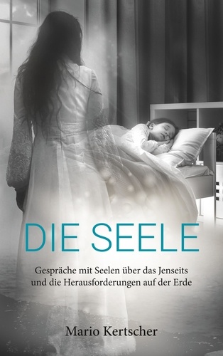 Die Seele. Gespräche mit Seelen über das Jenseits und die Herausforderungen auf der Erde