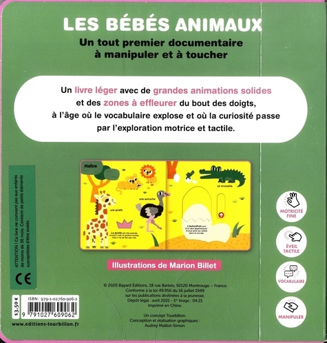 Les bébés animaux de Marion Billet - Album - Livre - Decitre