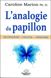 L'analogie du papillon