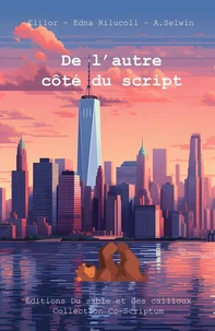 De l'autre côté du script