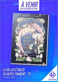 Là où les étoiles filantes tombent - Tome 3