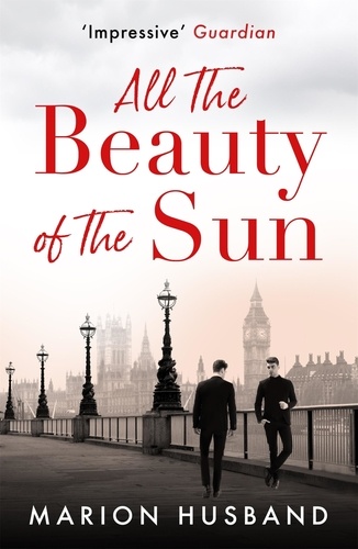 All the Beauty of the Sun. The Boy I Love: Book Two