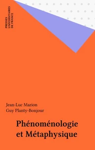 Phénoménologie et métaphysique