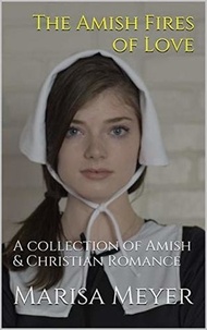  Marisa Meyer - The Amish Fires of Love.