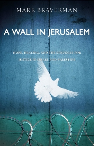 A Wall in Jerusalem. Hope, Healing, and the Struggle for Justice in Israel and Palestine