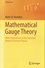 Mathematical Gauge Theory. With Applications to the Standard Model of Particle Physics
