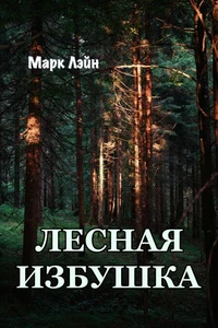 Лесная избушка