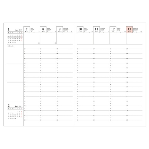 Agenda SAD Clear Storage A6 1sem /2p Rose