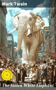 The Stolen White Elephant