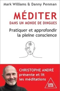 Méditer dans un monde de dingues