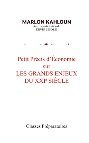 Petit précis d'économie sur les grands enjeux du XXIe siècle