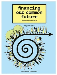 Financing our common future