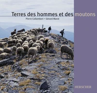 Terres Des Hommes Et Des Moutons