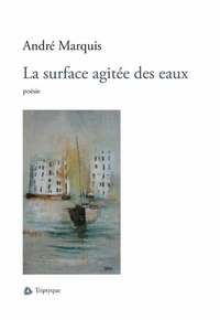 La surface agitee des eaux