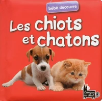 Bébé découvre Les chiots et chatons