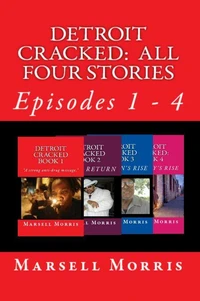 Detroit Cracked - All Four Stories
